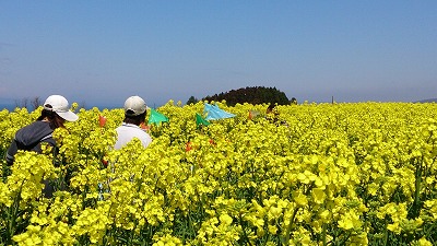 なるほど、こうなるわけですね(^^)