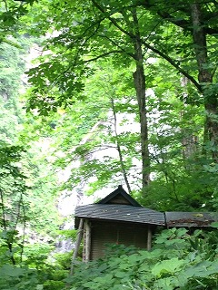 shirakami