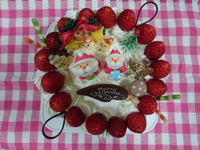 もりもりだくさんクリスマスケーキ☆