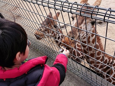 キリンの下が30センチくらいビヨーンと伸びてくる