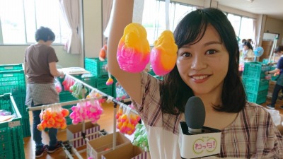 これ、何だかわかりますか?
