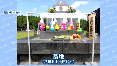 お墓なのに…可愛い~!!