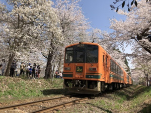 芦野公園 (1)