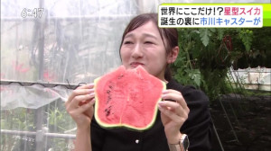 0728_184719わっち！！Ｎｅｗｓ【青森空襲から８０年・平和への祈り▽甲子園聖愛ナインの決意】【天】【Ｎ】