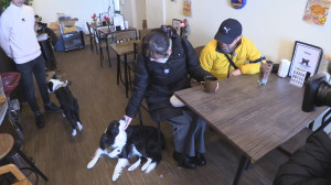 年明けの旅々スミマセンは かわいいワンちゃんと戯れました