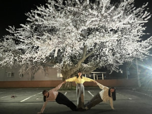 入社！先輩方とATVの桜の木の下で写真を撮りました 