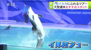 0507_183331わっち！！Ｎｅｗｓ【母の日に影響・物価高▽イルカに触れる連休おすすめスポット】【天】【Ｎ】