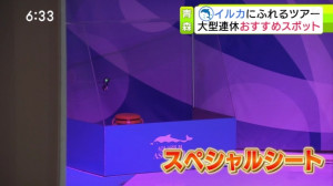 0507_183358わっち！！Ｎｅｗｓ【母の日に影響・物価高▽イルカに触れる連休おすすめスポット】【天】【Ｎ】