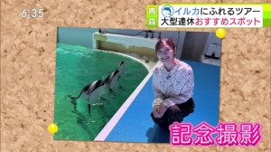 0507_183514わっち！！Ｎｅｗｓ【母の日に影響・物価高▽イルカに触れる連休おすすめスポット】【天】【Ｎ】