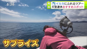 0507_183646わっち！！Ｎｅｗｓ【母の日に影響・物価高▽イルカに触れる連休おすすめスポット】【天】【Ｎ】