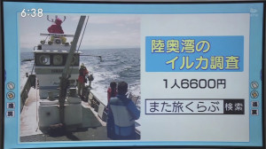 0507_183811わっち！！Ｎｅｗｓ【母の日に影響・物価高▽イルカに触れる連休おすすめスポット】【天】【Ｎ】