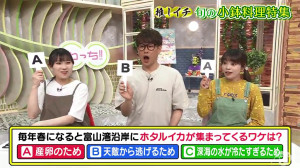 クイズ